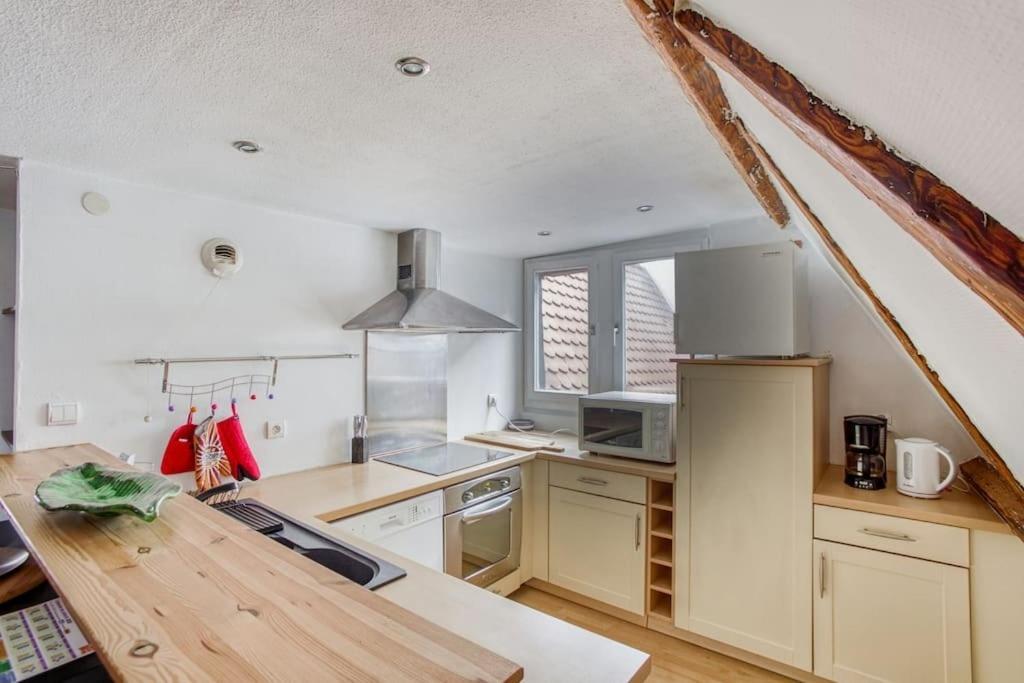 Le Cocon Alsacien Apartamento Estrasburgo Exterior foto